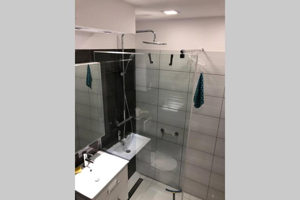 Apartament Sikornik 格利维采 外观 照片